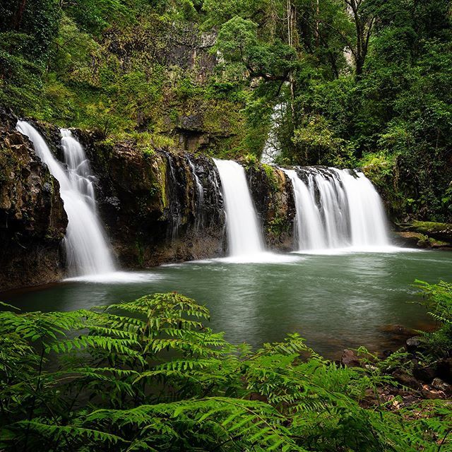 TNQ knows how to do waterfalls 💦 Not far from the coast and only a short walk, you’ll find Nandroya Falls, one of the best waterfalls Tropical North Queensland has to offer. 
@tropicalnorthqueensland 
@apollomotorhomeholidays 
_______________________… ift.tt/2yYAPFX