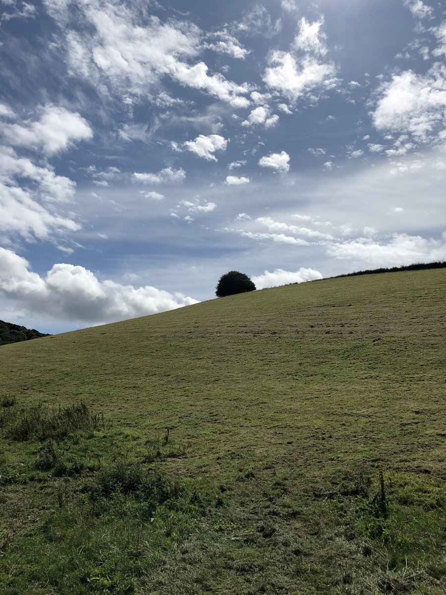 Fire, dreams, sustainability, time-travelling. Nourishment for the weeks to come. Thank you fellow explorers <a href="/Coombestudios/">Lara Lloyd</a> <a href="/davidmicklem/">David Micklem</a> <a href="/In_Between_Time/">In Between Time</a>