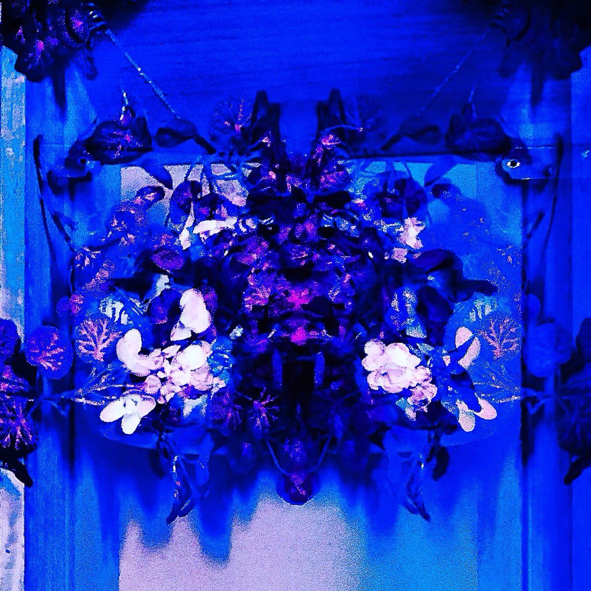 _______pisica's tweet image. pisica 初のリリース！
IDM, industrial, techno, noiseなどの要素を混じえたドープで華やかな世界をこのアルバムにパッケージしました✧
レーベル主宰のQQ氏のアートワークがそれを見事に表現してくれています。
是非ともチェックを☺︎
pisica.bandcamp.com/album/1-2