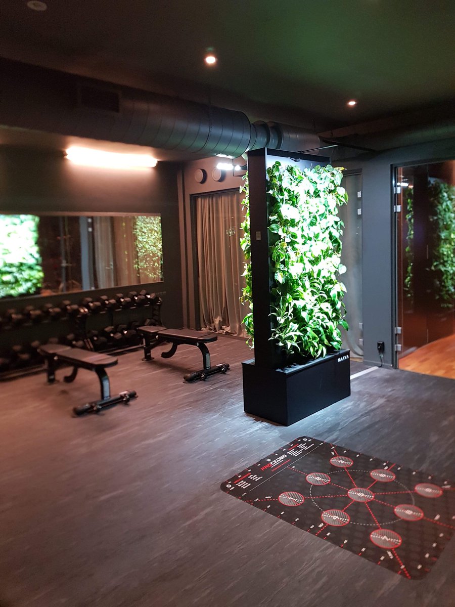 OJukka's tweet photo. @motionVFX @motionVFX One way to tackle the problem is an autonomous green wall like Naava https://t.co/17DoFieWWo. Granted, you still need to fill in the tank weekly or so, but it automatically takes care of the watering and in case you forget to fill 'er up, you get a reminder via sms :). https://t.co/srVDm4FkBD