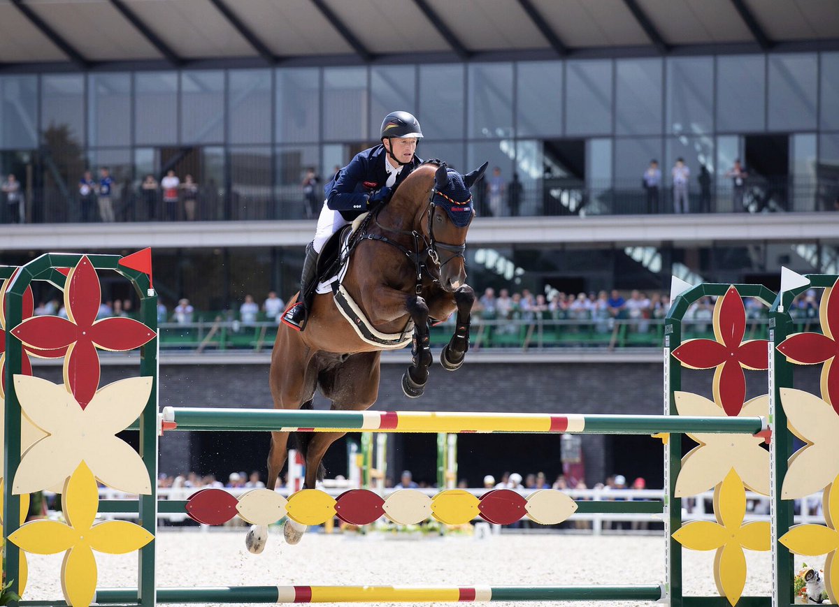 2TheBarn_'s tweet photo. 🇯🇵Tokyo Test Event Final Results!🇯🇵
It's hump day &amp; it's a gloomy one! Brighten the day &amp; read not 1 but 2 articles on final day of action! Hit the link &amp; catch up on final trot up, sj phase, hear from riders &amp; exclusive pics!🐎#2TheBarn #ReadySteadyTokyo https://t.co/RXZ9gjPYuk https://t.co/n6JVBCisii
