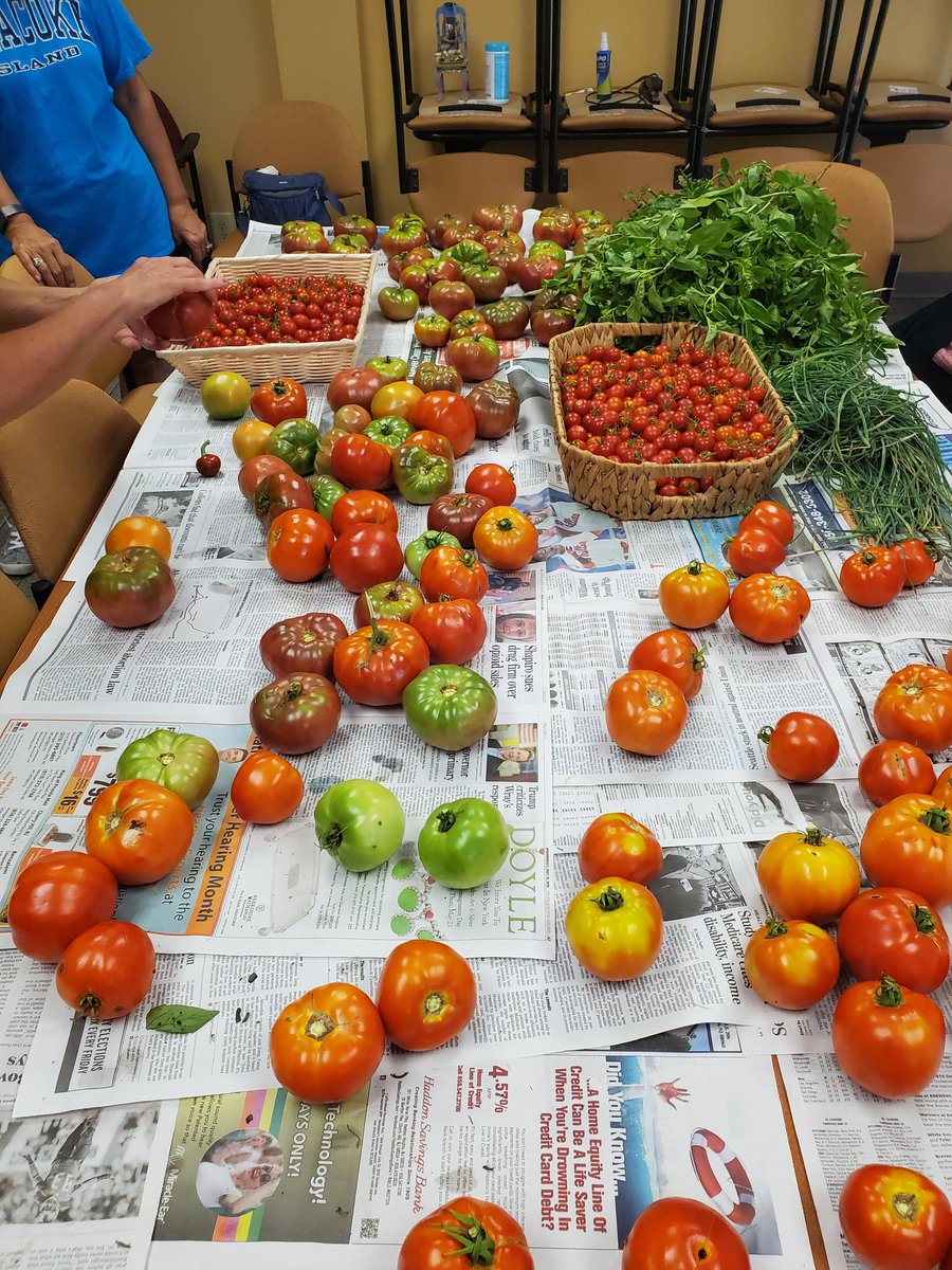 ClasiqueAffairs's tweet photo. Had fun helping bag up a bountiful harvest at the #SeedsofHopeGarden @MDAndersonNews @CooperHospital on Friday 🌱💘 #CancerWarriors #NatureTherapy #EatingtoLive https://t.co/3iBF9C0FsG