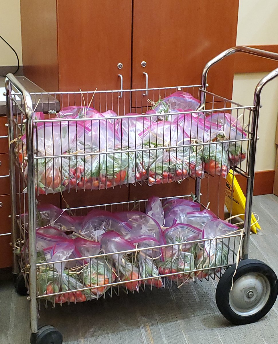ClasiqueAffairs's tweet photo. Had fun helping bag up a bountiful harvest at the #SeedsofHopeGarden @MDAndersonNews @CooperHospital on Friday 🌱💘 #CancerWarriors #NatureTherapy #EatingtoLive https://t.co/3iBF9C0FsG