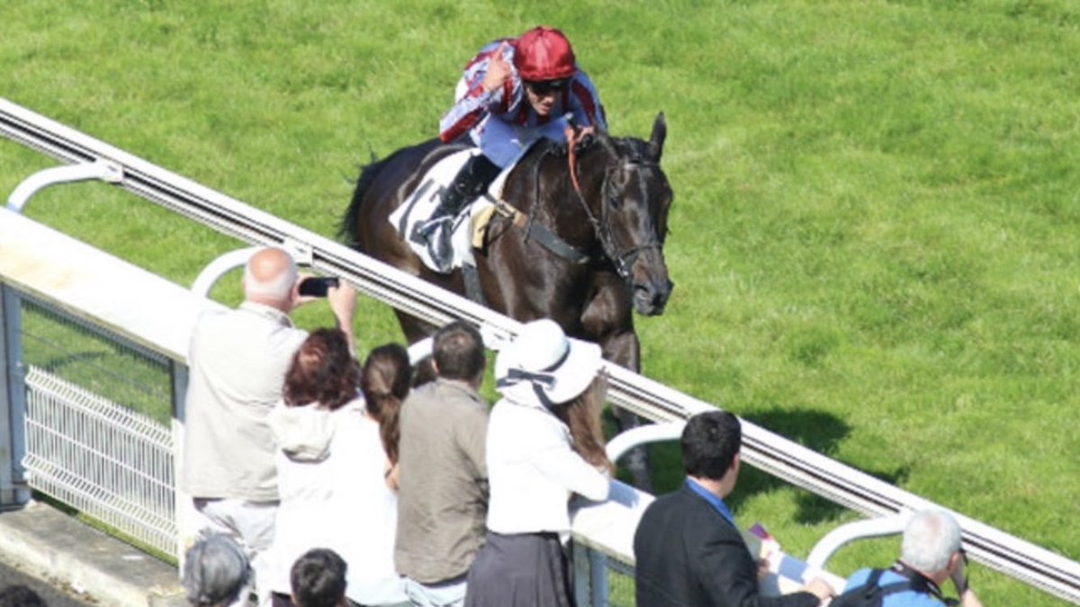 Romain DETRE tweet media