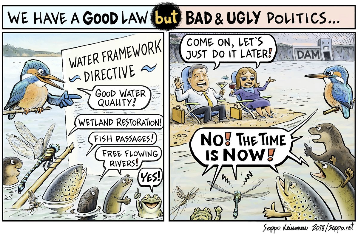 sepponet's tweet photo. @SolomonRDavid @FishConGen Big Finnish hydro power companies want to develop these kind of fancy, cheap & innovative technical "solutions", no need to give water to those damn natural fish passages. Every drop has to flow through their turbines. No #ecologicalflow, no real #fishways up & down stream. =:-( https://t.co/VXeOQRQkPl