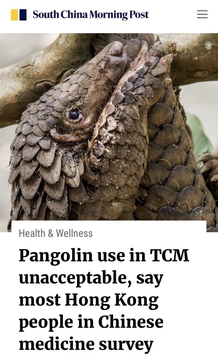 Great <a href="/SCMPNews/">South China Morning Post</a> story about #pangolins and their unsustainable usage in Traditional Chinese Medicine (TCM).

Our new survey clearly shows Hong Kong public backs getting rid of ALL endangered species from #TCM. Let’s do it!

scmp.com/lifestyle/heal…

Survey: wildaid.org.hk/sites/default/…