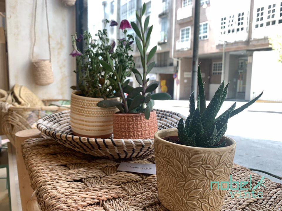 Las plantas llenan de vida y color cada uno de los rincones de la tienda, le dan ese toque especial que hace a un espacio cobrar vida. Sigue nuestro consejo y hazte con una de estas pequeñas piezas, ahora rebajadas a un 60%.