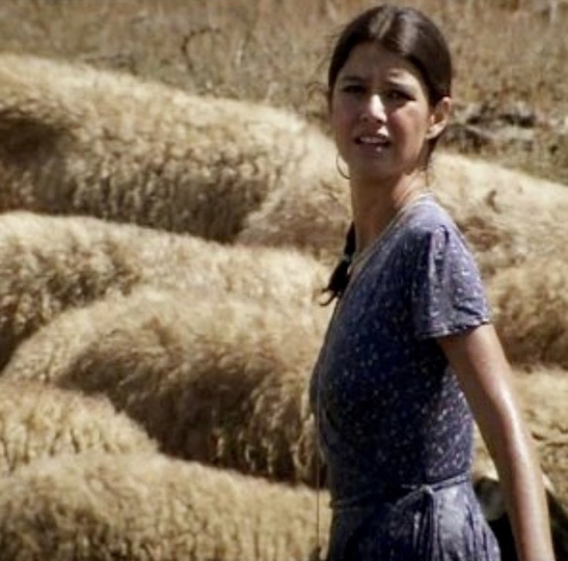 berensaat