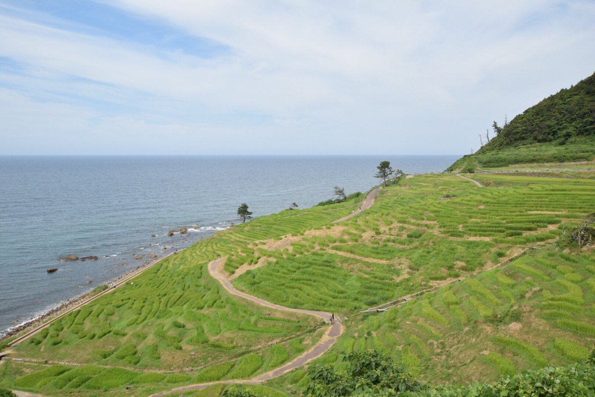 ojii_k's tweet photo. 友達と能登半島をまわってきましたわー。
旅以来だったので懐かしさを感じたね。走るの気持ち良すぎですわ！

この装備で結局2日間道の駅で寝たことはここだけの秘密ね

千里浜、千枚田、世界一長いベンチ、ドラえもん空き地 https://t.co/3TdhZmhQjX