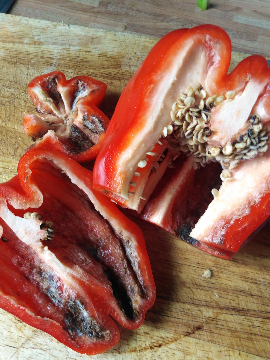 Young Thunder tweet media