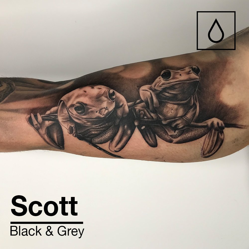 Monumental Ink On Twitter Beautiful Black And Grey Realism Frog Tattoo By Scott White Https T Co Plwmwuysjc Tattoo Tattoos Tattoolife Frogs Wildlife Wednesdaymotivation Wednesdaywisdom Uk Essex Colchester Https T Co Amoc6zqwsl