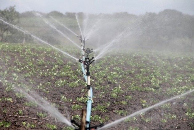 Dalberg_WASH's tweet photo. The backbone for the success of water use efficiency initiatives through micro irrigation is, first and foremost, effective training and awareness generation amongst small and marginal farmers in potential states. https://t.co/3tBIgTxOS8 https://t.co/WfTcLZo8KQ