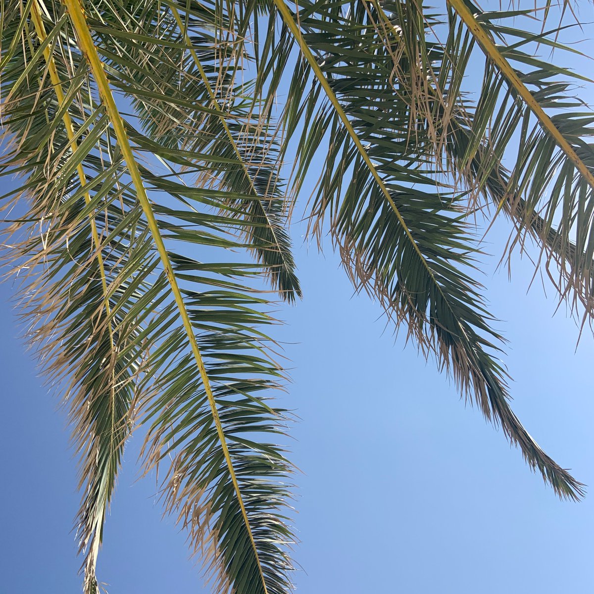 gobespoke1's tweet photo. Travelling, what makes you want to pack a bag?🧳We’d love to know! Some of our clients have been asking about how Brexit might affect their travel plans this year so we’ve put together a little blog with all the current info #brexit #travel #blog
https://t.co/EGQcwvNqjM https://t.co/Y45b9scKvG