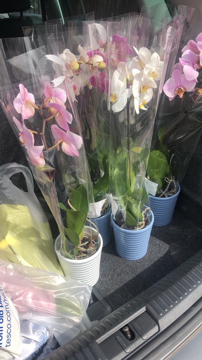 This year marks 100 years of social housing, so we've been out and about delivering flowers to our oldest homes. 😀🏡💐 There are 15 in total, find out where they are here: ongo.uk/31CwV1H) ongo.uk/31CwV1H  #NLincsIsGreat #WeCare #RandomActsOfKindness