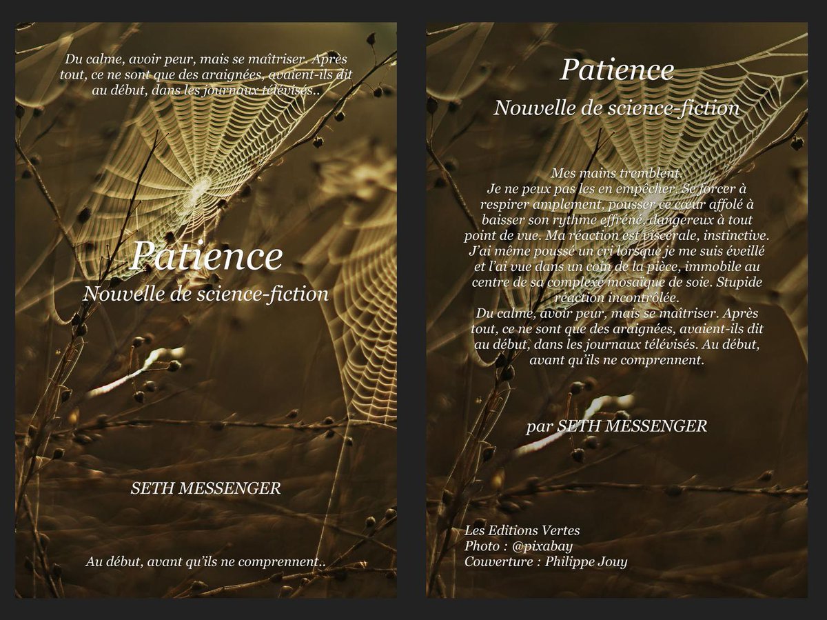 Nouvelle d'anticipation : Patience. A découvrir gratuitement sur : sethmessenger.fr/link/gen/2/999… (Temps de lecture estimé : 10 minutes) #lecture