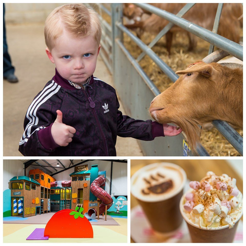 Mead Open Farm tweet media