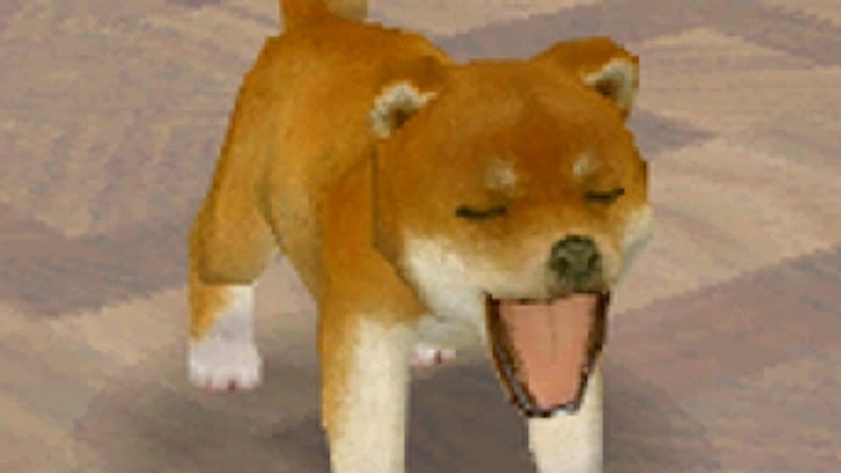 SuperMelonBros_'s tweet photo. rest in peace to all the Nintendogs who haven't been fed in years https://t.co/5JtBFnPvTX