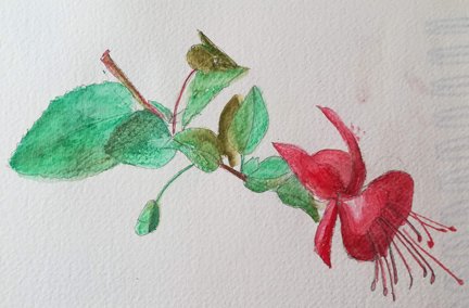 zyarts's tweet image. #edxonline I am starting the Botanical Drawing MOOC to get material for my prints, my first drawing #drawing #MOOC