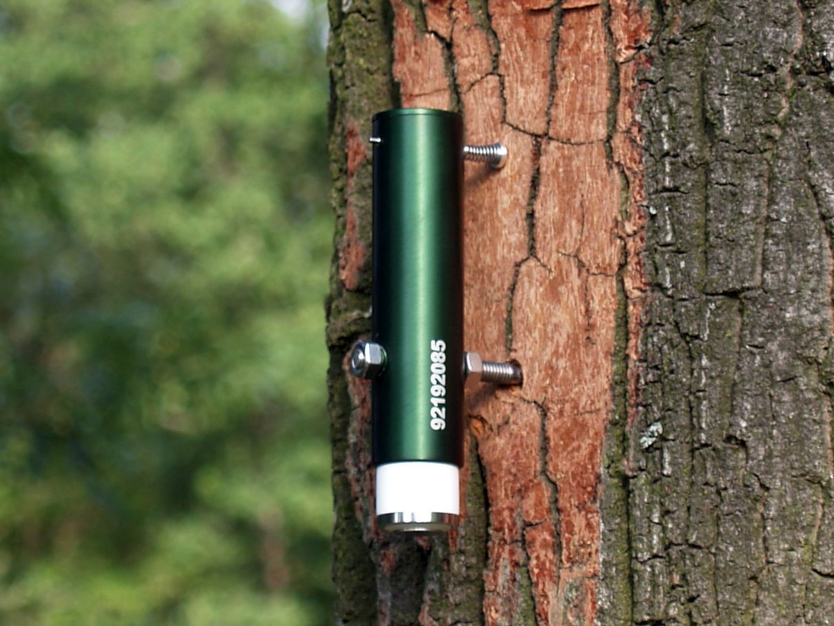 TOMSTloggers's tweet photo. After two years of intensive development and testing in diverse countries and climate conditions, we are officially introducing a new datalogger. It is a Point dendrometer. See details here: https://t.co/PmNit95i8L #tomst #dendrometer #dataloggers https://t.co/5KQY8Byaxn