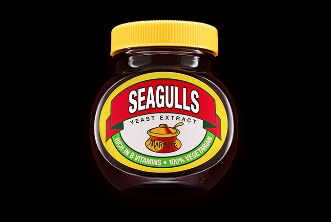 photo_ethics's tweet photo. Seagulls - they're Brighton's Marmite! 
Call out for participants 10-14th September in #Brighton
Do you feed one of these #endangeredspecies from home? Please DM me! 
#ilovethem #journorequest #mediarequest #photorequest #documentaryphotography #marmite #herringgulls #seagulls https://t.co/DSAVYLUkSp