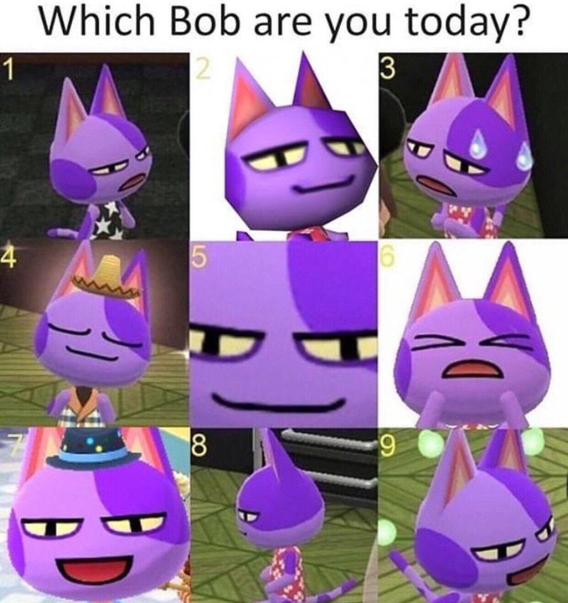 beawiitch's tweet photo. which Bob are you today? https://t.co/AWeEpOv0GY