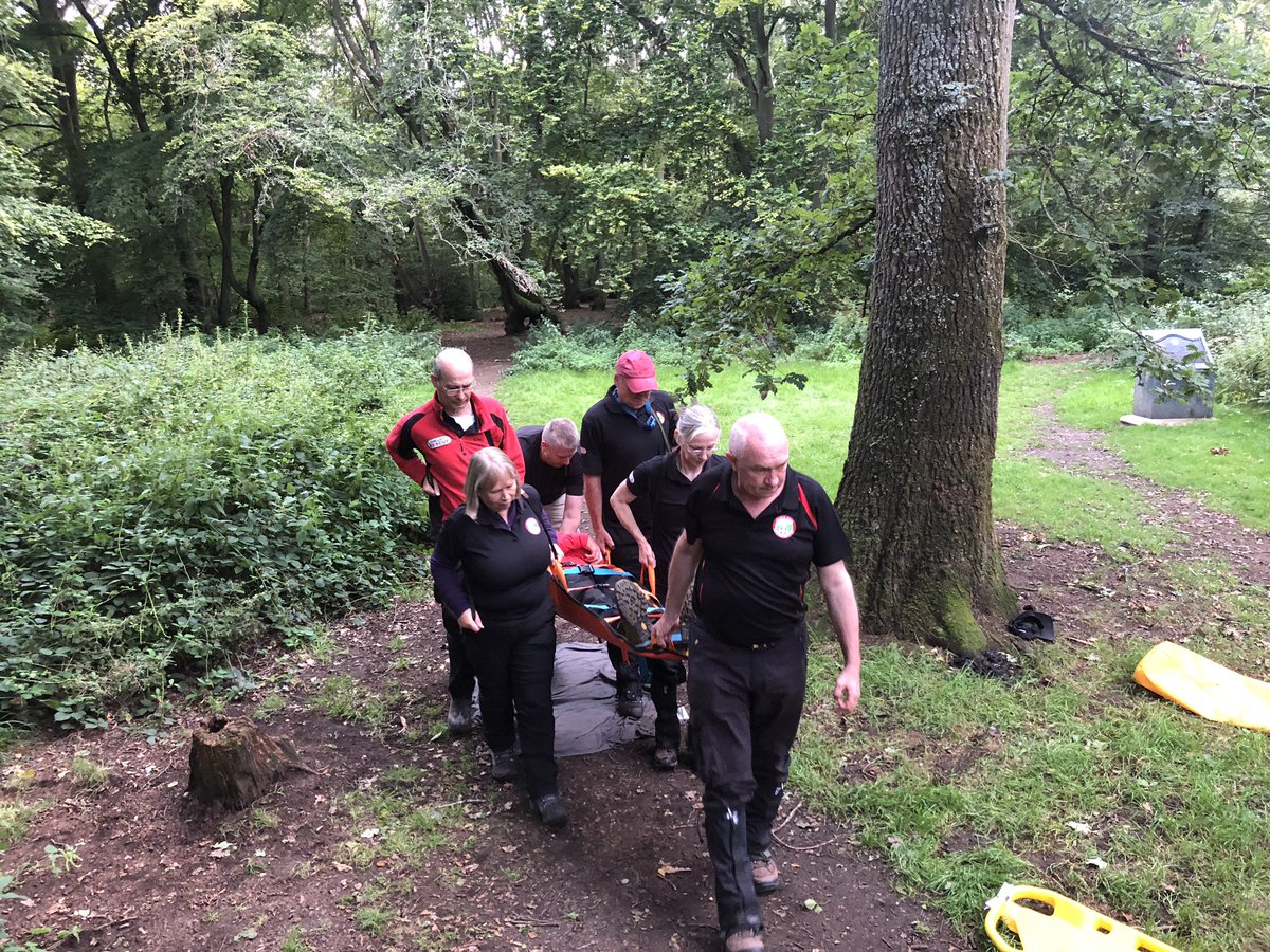 SearchDogsBucks tweet media