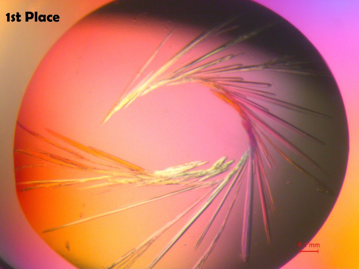 Molecular Dimensions tweet media