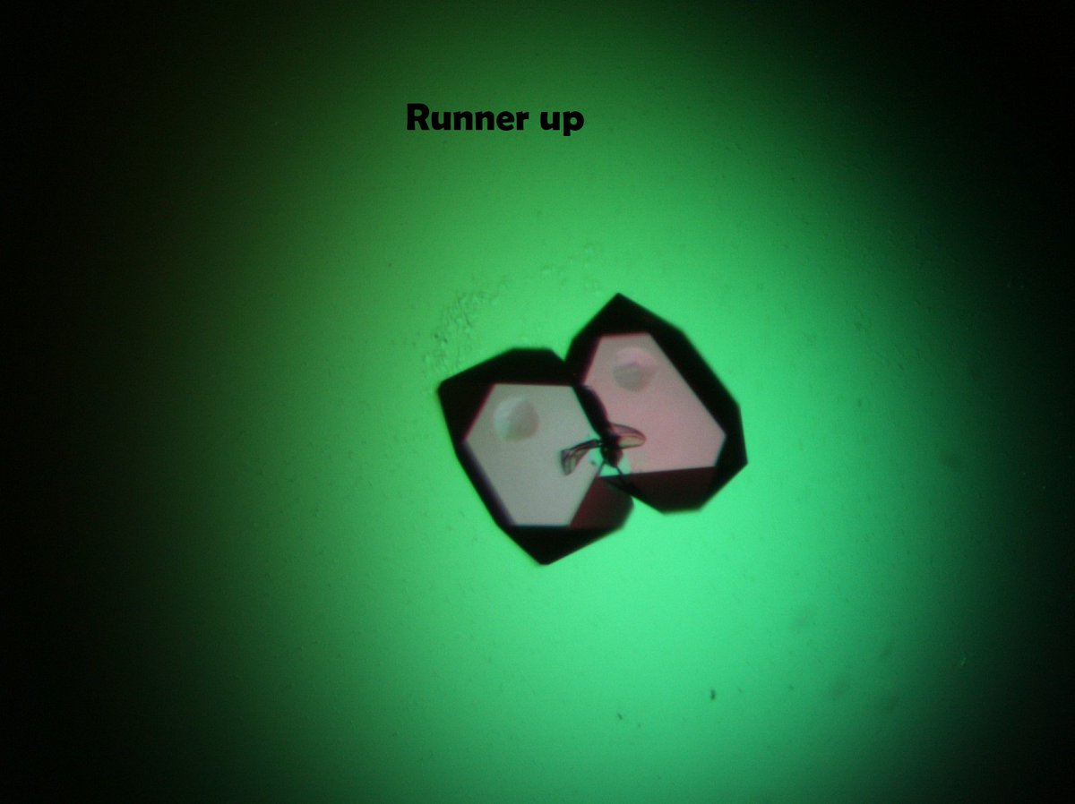 Molecular Dimensions tweet media