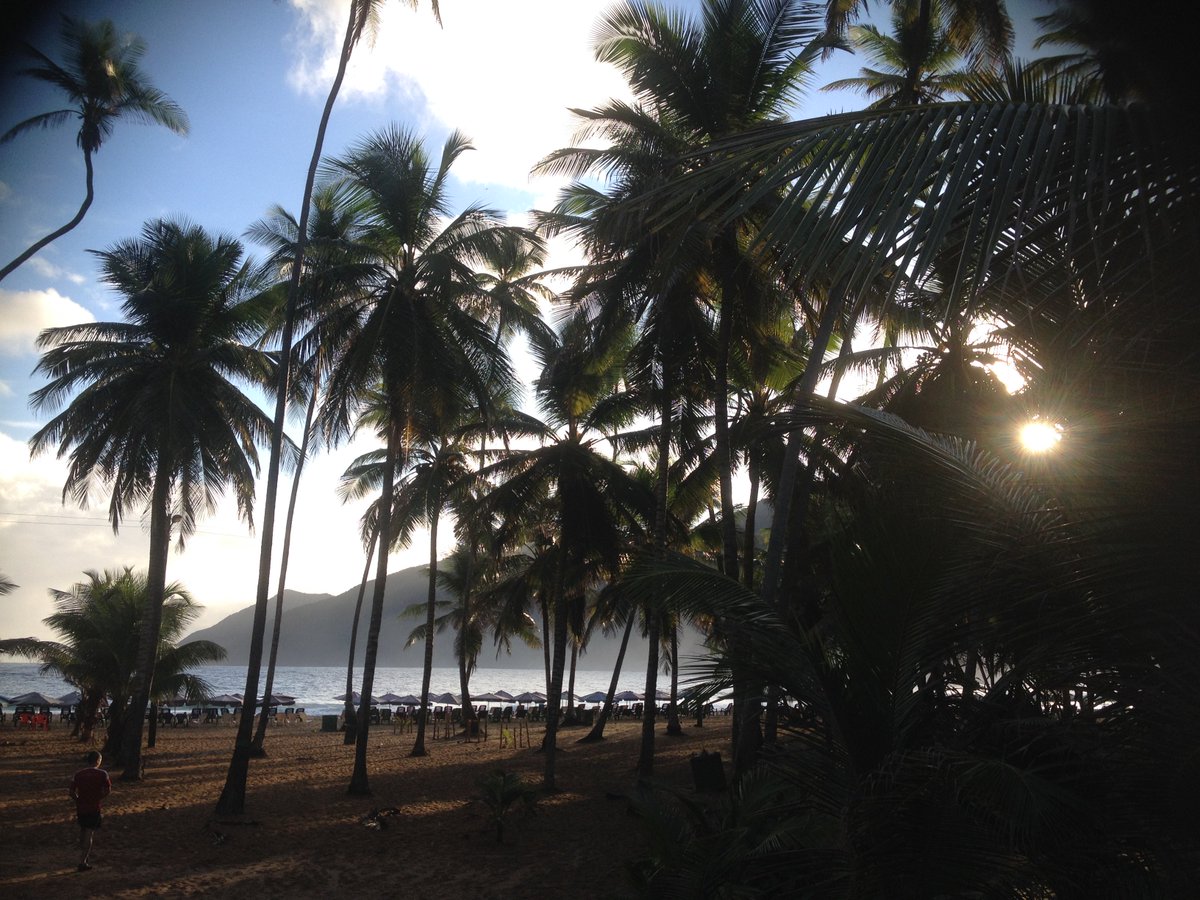 posadapittier's tweet photo. Cada mañana es un misterio; la primera juventud del mundo, la resurrección del hombre, el brote del futuro, todo ello se envuelve en sus amaneceres.
(Henry Vaughan)
Feliz dia amigos! #choroni #playagrande #posadapittier #venezuela #playa https://t.co/OBQ6UlIzas
