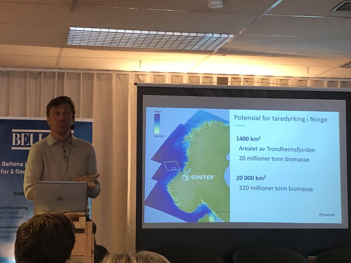 RunaHK's tweet photo. Stort potensiale for #algeindustri langs norskekysten, og de beste dyrkeforhold ligger langt til havs sier @SINTEF hos @Bellona_no ; standardisering og automatisering av teknologi må til for å industrialisere. #ocean #sustainablebusiness #arendalsuka19 https://t.co/thffxrhDpy