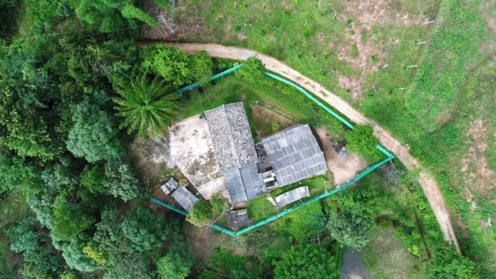 AnimalDialogue's tweet photo. #WorldElephantDay Asian elephant is Class I protected animal in China. Population of wild elephant in #yunnan has increased to 300. To prevent human elephant conflict, govt built protection walls for villagers and opened a dedicated elephant canteen. https://t.co/AUbqPybigq https://t.co/ArASWYCumN