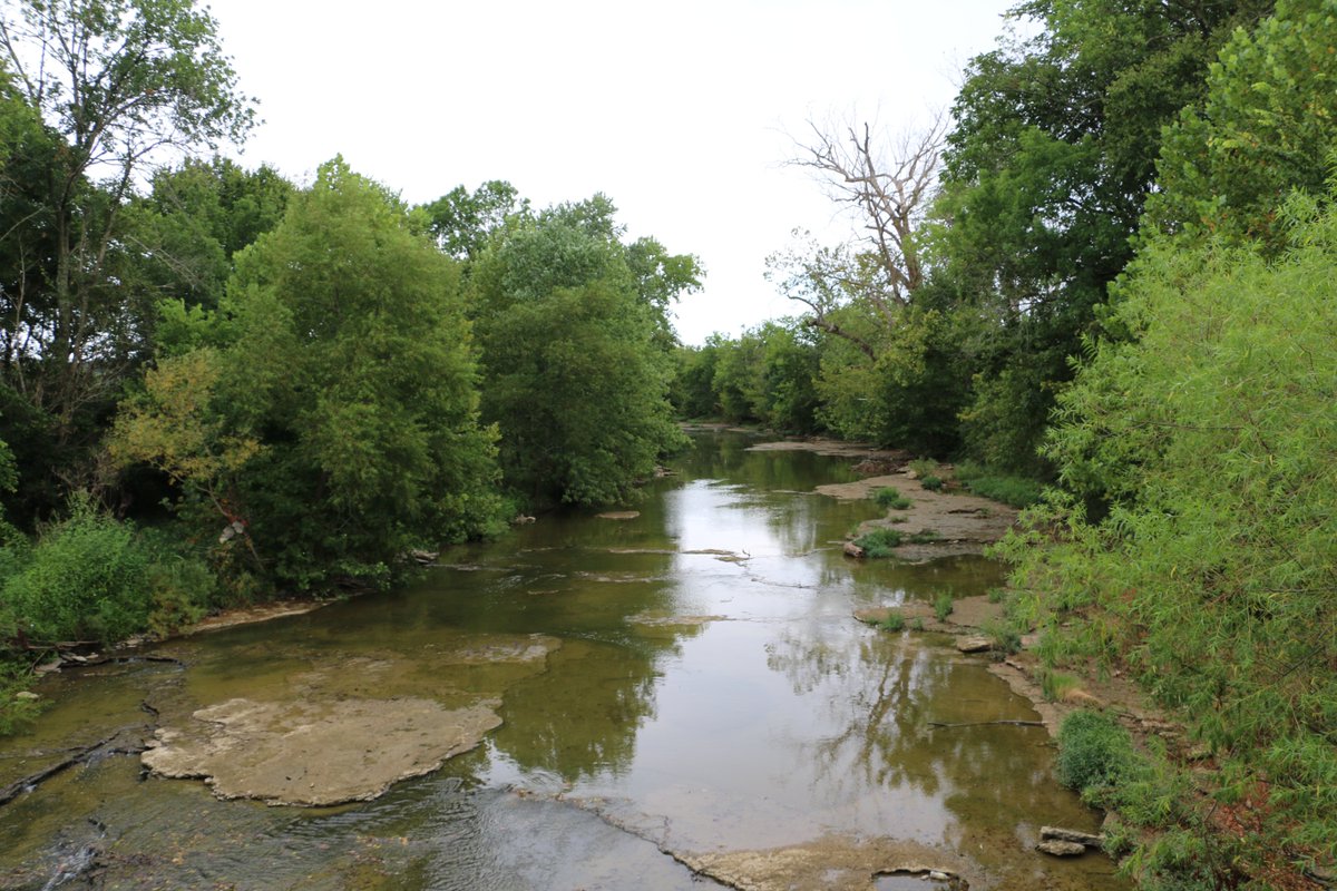 Midweek Smiles from #Kentucky <a href="/RossanaWyatt/">Rossana Wyatt 🦋</a> @quirkytraveller <a href="/IFWTWA/">IFWTWA</a> <a href="/the_cravens/">The Cravens</a> <a href="/RuthCWL/">Ruth Milstein</a> <a href="/Schoolsidepress/">Schoolside Press</a> <a href="/JeremysOnTheHil/">Chef Jeremy Manley</a> <a href="/lindamilks/">Toastingfoodwinetravel</a> <a href="/LindaBallou/">LindaBallou</a> <a href="/SpringfieldTour/">Springfield Tourism</a> <a href="/MidlifeRoadTrip/">MidlifeRoadTrip</a> <a href="/wanderlustmark/">wanderlustmark</a> <a href="/BuenQamino/">Qristina</a> <a href="/tripwellness/">Elaine J Masters</a> @TripOutonTravel <a href="/elliston_h/">Sarah H Elliston</a> :)