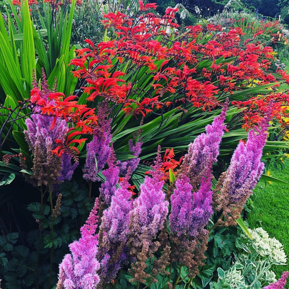 More beauty in the gardens at Arley.