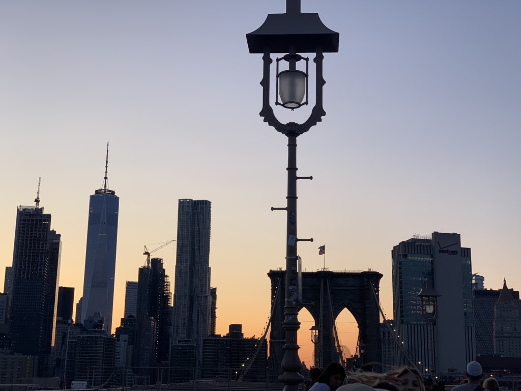 Leave your dreams in the wind so that they can learn how to fly because in the winds of change we find true direction! 
#dreams #actress #traveldiaries #newyork #brooklynbridge #explore #windy