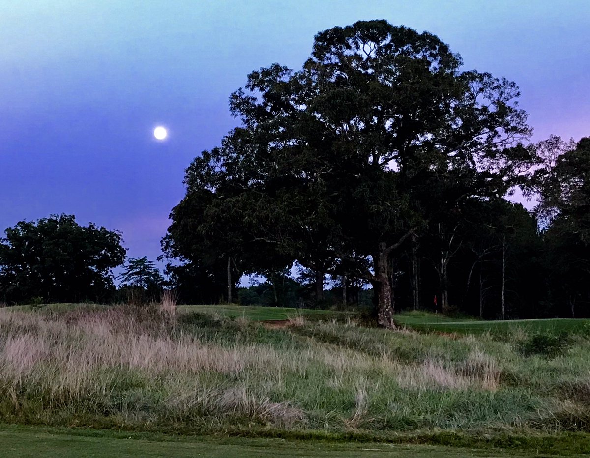 daltonmelnyk's tweet photo. Amazing evening out @TheFieldsGolf #solowalker #under3hours Thanks @willbardwell for making me aware of this place!! https://t.co/VRbhajkY9i https://t.co/p2XSxCUAtb
