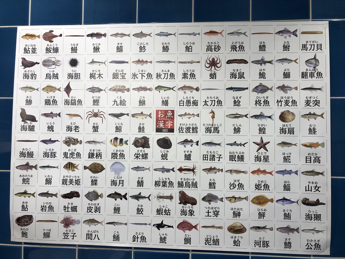 Kawai On Twitter 魚の図鑑 どれくらい読めるかな 漢字って難しいね まぉ当字も多いけど