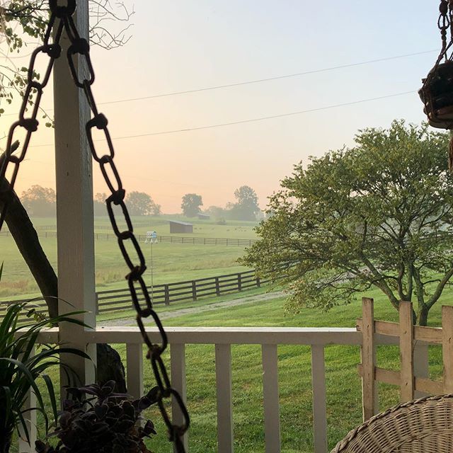 crazysheeplady's tweet photo. Good morning!  This is six 😀. #augustfog https://t.co/EPetA40lMs https://t.co/cmJykHNTIV