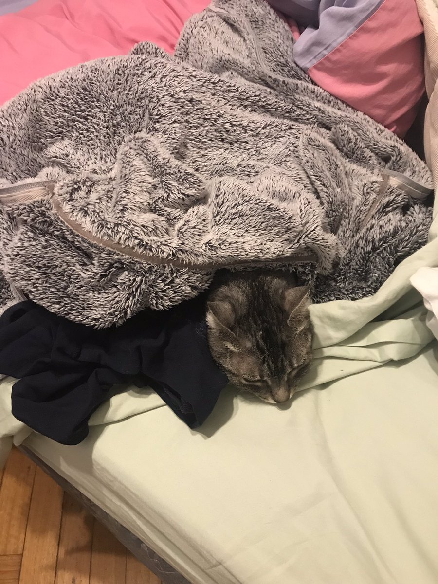 phoebeannecat's tweet photo. https://t.co/KwRqOmk8Xs