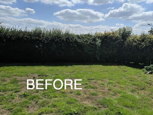 browns_tree's tweet photo. Some great hedge reduction works completed yesterday by our guys :) #treeworks #hedgereduction #trees #treesurgery #siteclearance #stumpgrinding #hedges https://t.co/jEDeH1oKKQ