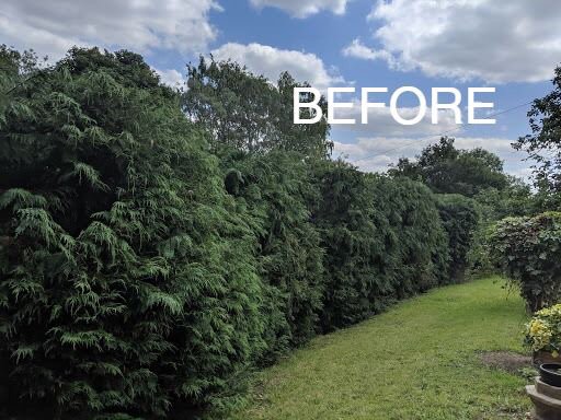 browns_tree's tweet photo. Some great hedge reduction works completed yesterday by our guys :) #treeworks #hedgereduction #trees #treesurgery #siteclearance #stumpgrinding #hedges https://t.co/jEDeH1oKKQ