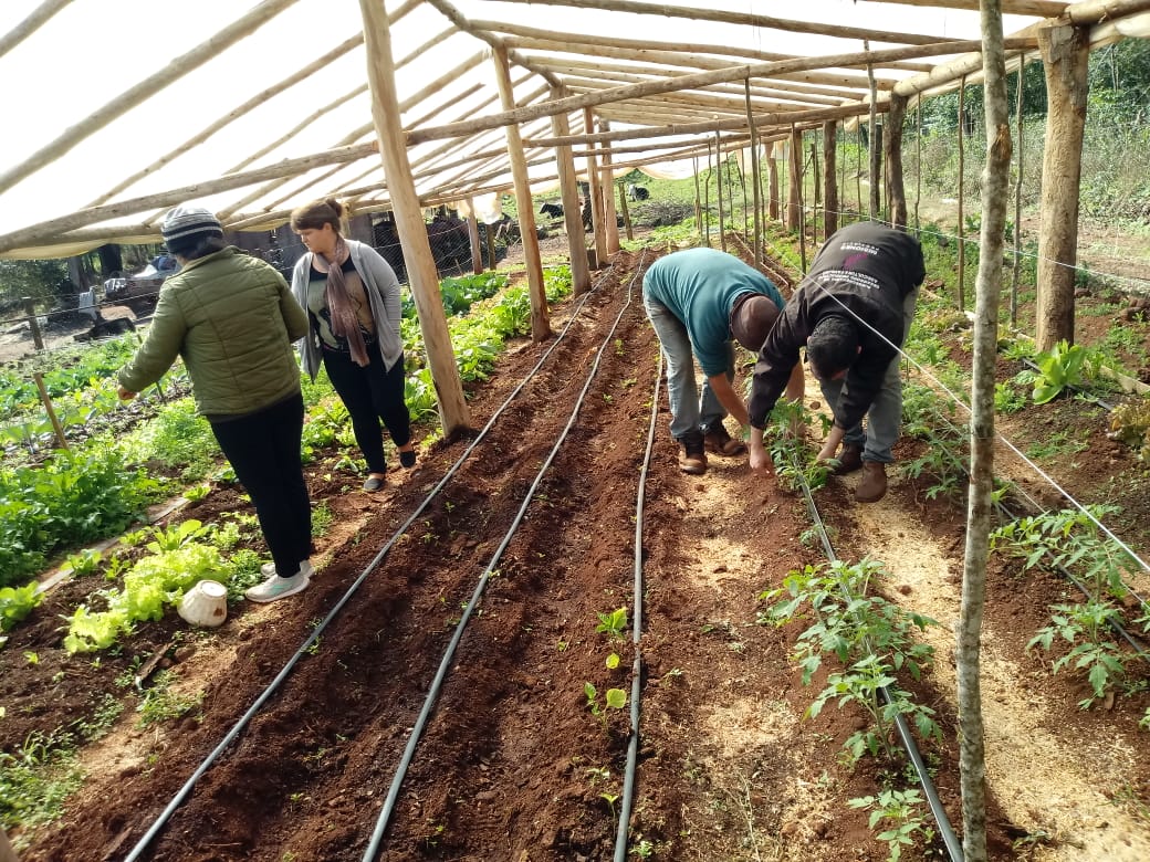 Sub_Dproductivo's tweet photo. Asesoramiento y capacitación con los feriantes de Puerto rico. 👩‍🌾👨‍🌾🌱🌾
#EstarCerca 
@AgriFam2016 
@martaferre 
@OttoGoritz https://t.co/Ep4glba57C