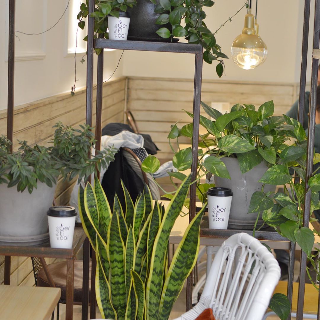 ElPatioVertical's tweet photo. Toma asiento, tómate un café y sobre todo #TómateloConCalma 😊☕️ Disfruta en El Patio Vertical.

📌 Calle de Almadén, 26.
📌 Calle De la Cruz, 8.

#ElPatioVertical #FelizMiercoles #CoffeeTime https://t.co/0nojlgWcec