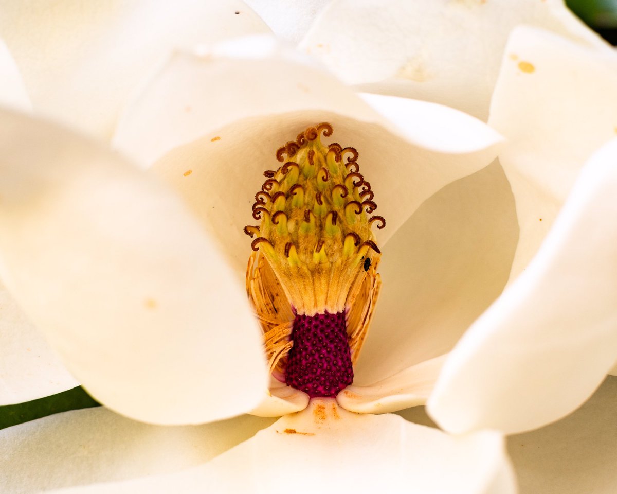 Szalix's tweet image. It’s a soggy #wet Wednesday , the #garden is #drooping ☔️☔️