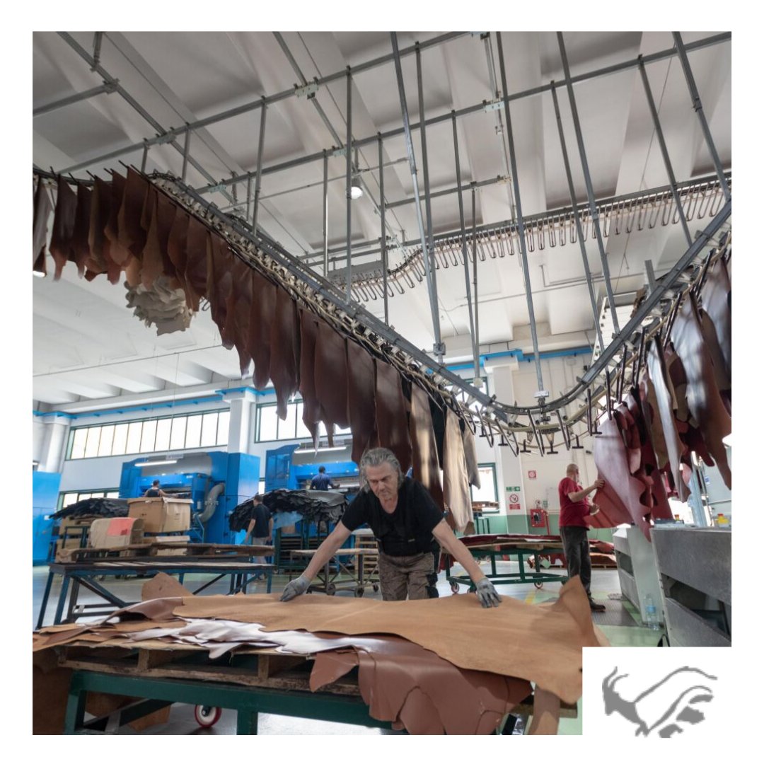 NutiIvoGroup's tweet photo. The elegance under pressure is the result of fearlessness. 😎☀️👠
~Ashish Patel~

#nutiivogroup #nutiivo #leather#leatherwork #conceria #tannery #leathertrends #madeinitaly #chrome #veg #metalfree  #leatherartisan https://t.co/hCLHkwODAS