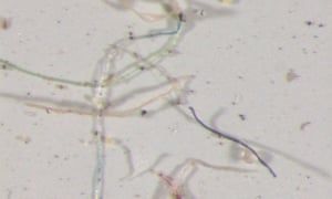 Assaad Razzouk tweet media