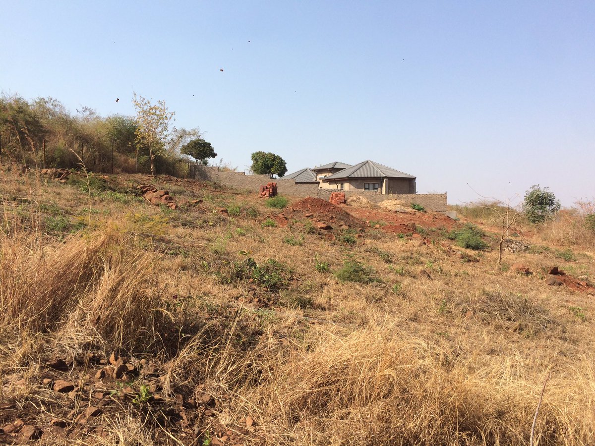 Thakhani_R's tweet image. 1 hectare land (4 stands) at Mavhunda behind Makwarela selling for R100 000. Call me 072 602 6399