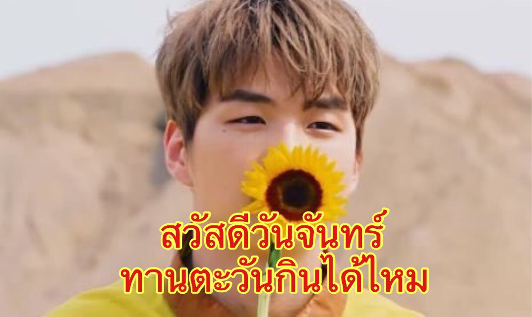 อาอง✨ tweet media
