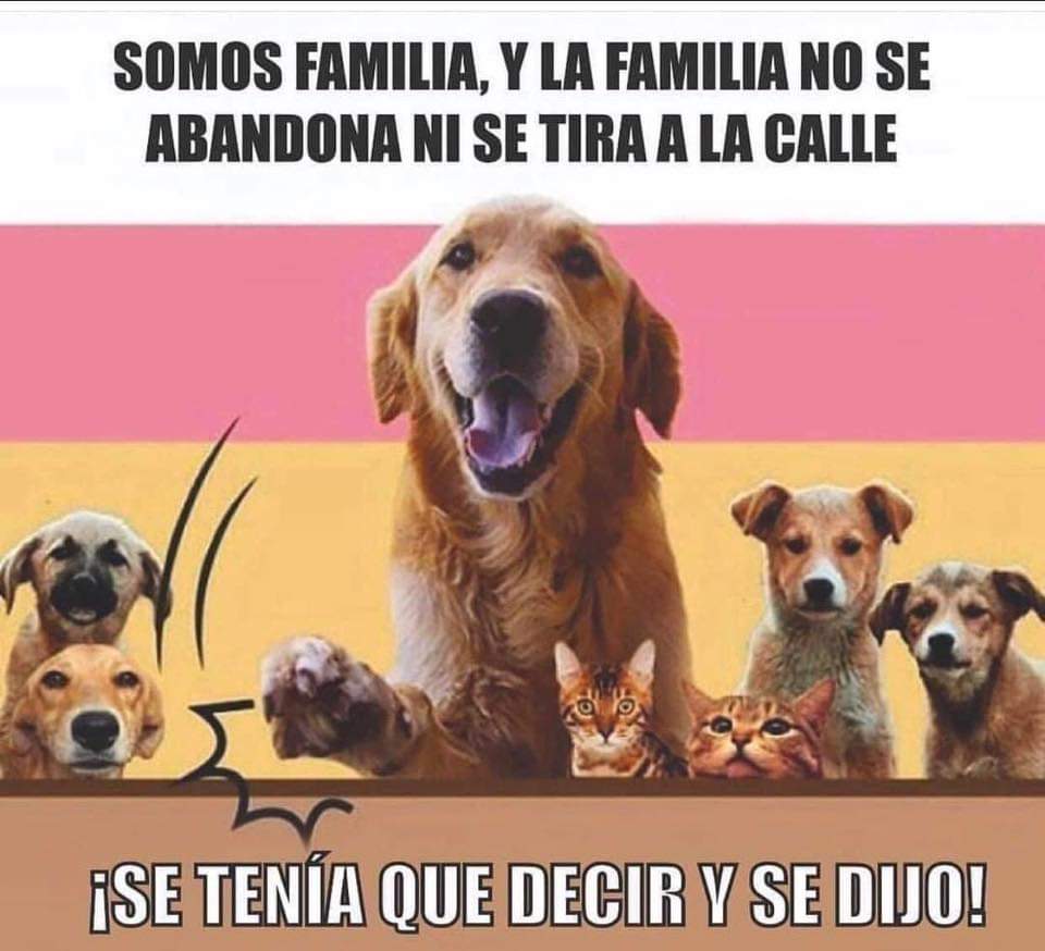 nydiacervera's tweet photo. #FelizMiercoles @DaliaMRocha @Froggieland @EEYYYAA @LlGllgina1 @iztalccihuatl @mariluzza @lasaguis @duky1107 @pikis_deolarte @SOSsalchichas @JohannaLizalde @kabena76 @mtz_tt @PipianMx @CEIzcuintle @KrysCobain @raquelgarzac @HuesitosDF @rumabo1 @zaradrj @Estrellitanew @Negra_start https://t.co/AmtauY0KJQ