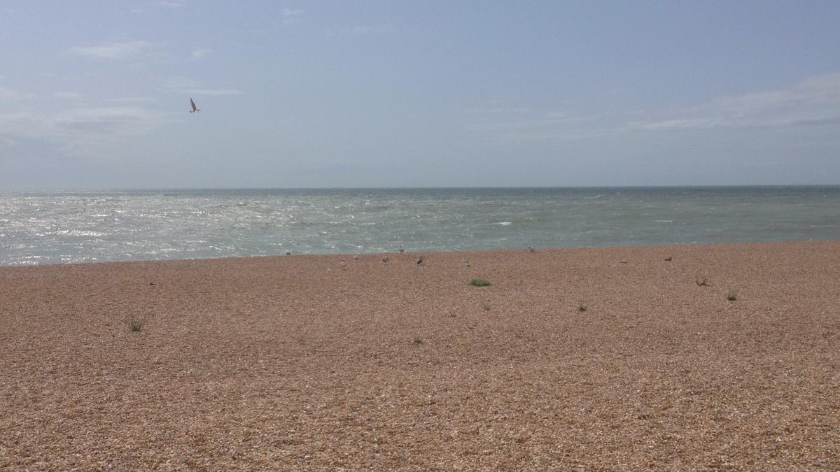 OISE_Germany's tweet photo. Die OISE-Sommerschule in Folkestone, England schließt ihre Tore am 24. August 2019. Trotz Hitze, Regen und Sturm, der Strand von Folkestone ist immer ein Anziehungspunkt. Nach intensiven 27 Unterrichtsstunden in kleinen 8er-Gruppen begeben sich die Schüler gerne ans Meer. #beoise https://t.co/lIVDgEiUCZ