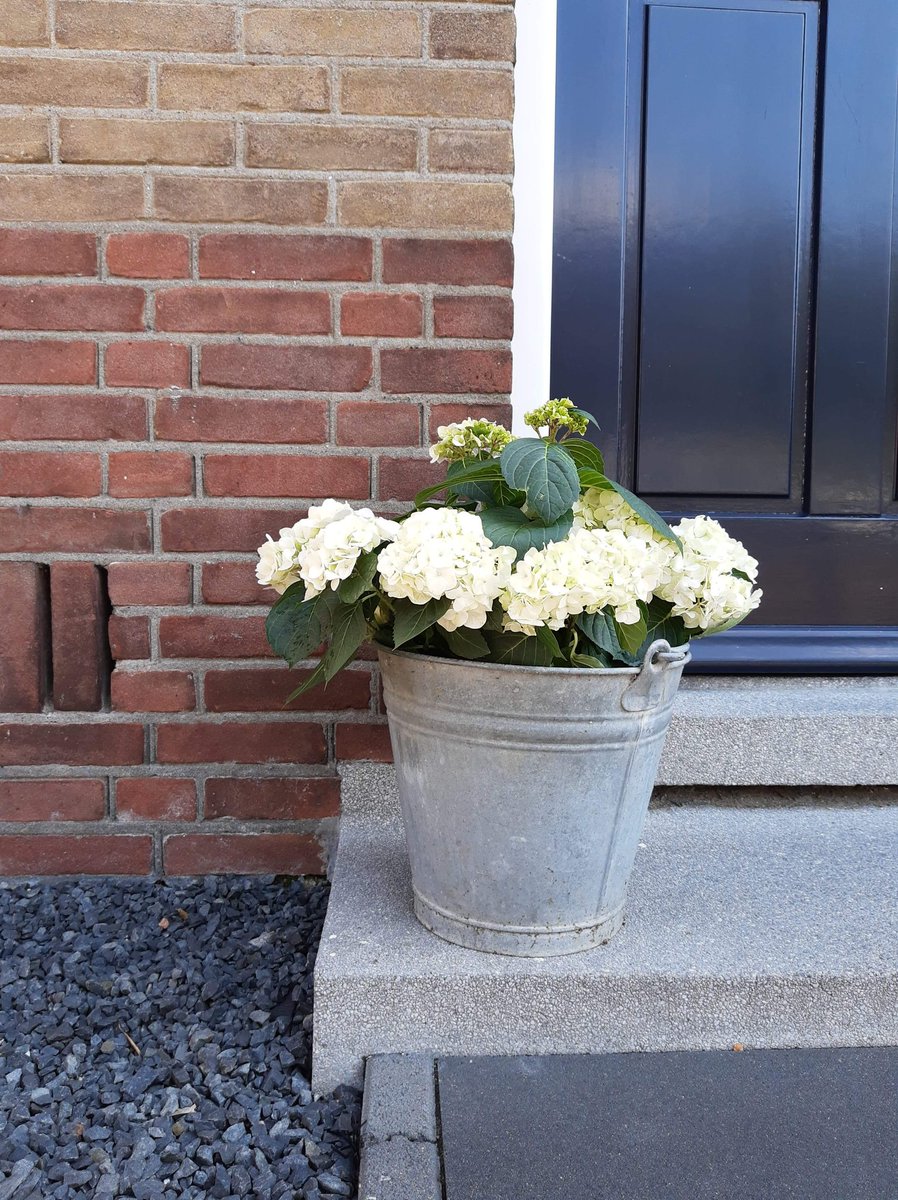 Bestaat er - in het rijtje naast #vliegschaamte - eigenlijk al een term voor het knagende gevoel dat je tuin te veel tegels en grind bevat? #verstening #tegeltaks